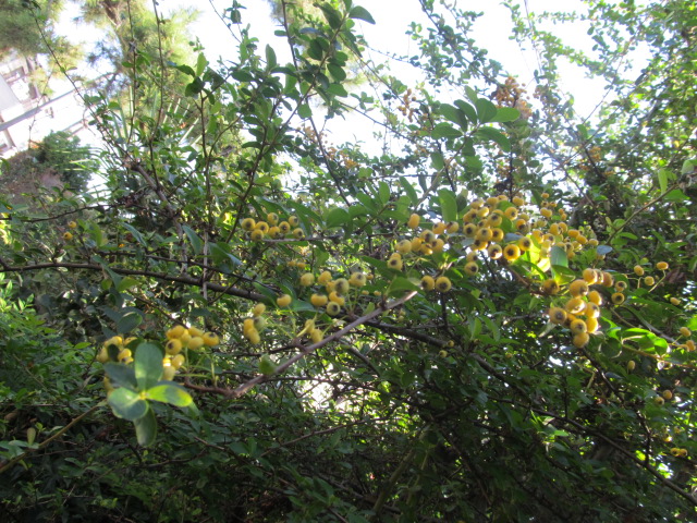 IMG_4659.jpg