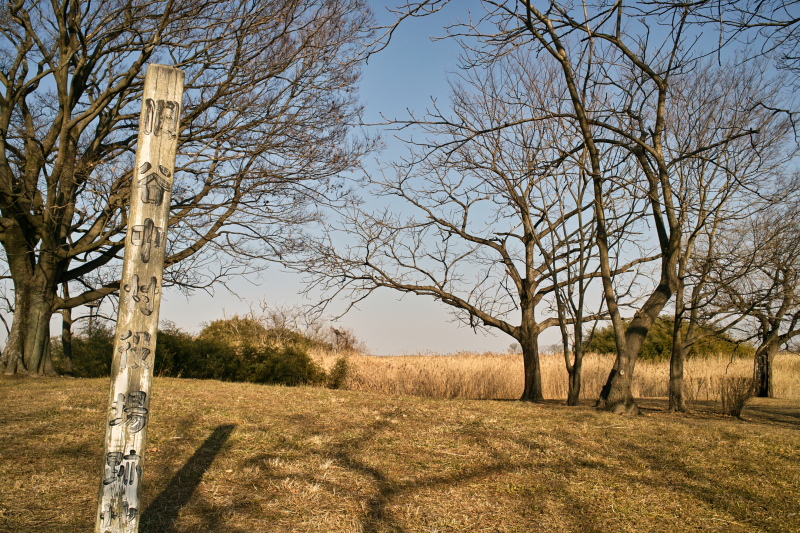 yanaka02