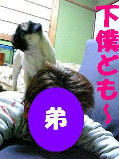 08-03-04_22-38.jpg