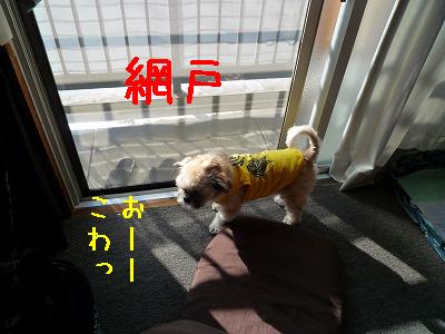 P1090116.jpg