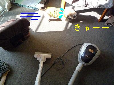 P1090120.jpg
