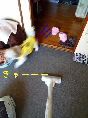 P1090121.jpg