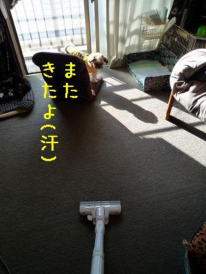 P1090123.jpg