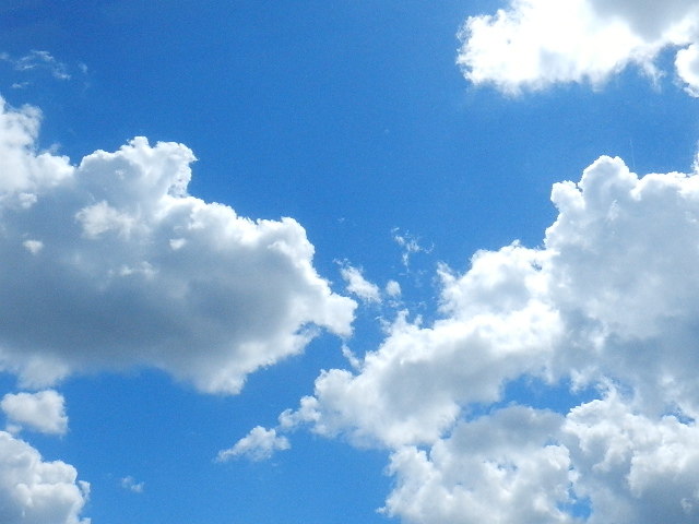 DSCN0744.jpg