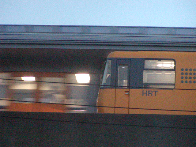 P1010269.jpg