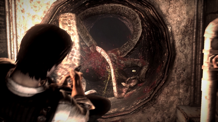 EvilWithin 2014-11-01 19-45-16-005