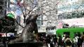渋谷20130321-06