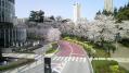 東京ミッドタウン桜 05