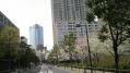 東京ミッドタウン桜 10