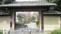 六本木各地桜 01