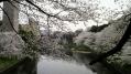 千鳥が淵靖国 09
