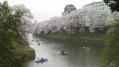 千鳥が淵緑道 03
