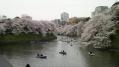 千鳥が淵緑道 06