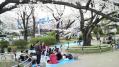 千鳥が淵公園 06