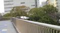 あれこれ20130404 02