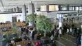 成田空港 11