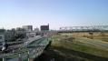 荒川土手1八広 06