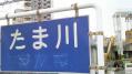 多摩川丸子橋付近 05