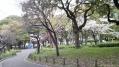 芝公園1 08