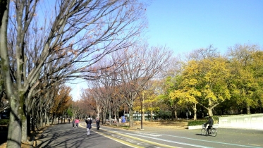 駒沢五輪公園2-12