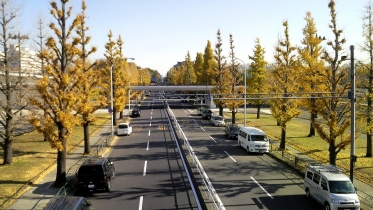 駒沢五輪公園2-14