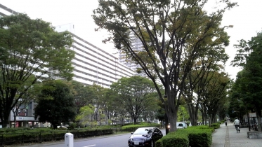 光が丘1-06