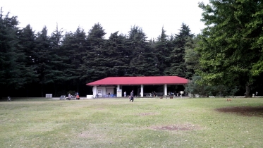 光が丘1-26