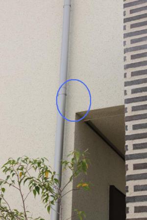 わんこと一緒にきこりんハウス