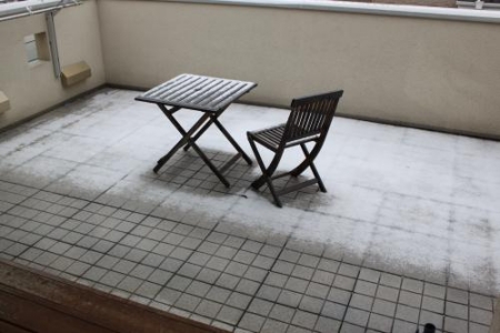 わんこと一緒にきこりんハウス