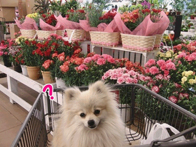 130512anigif.gif
