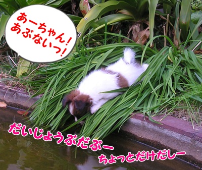 130406 - コピー
