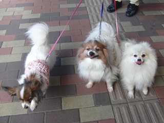 130502 (2)