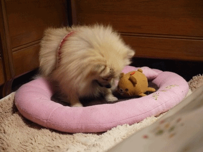 140128 (2)anigif