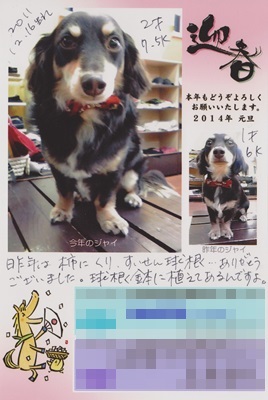 年賀状1 001