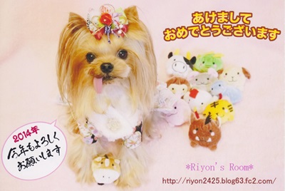 年賀状2 002 - コピー