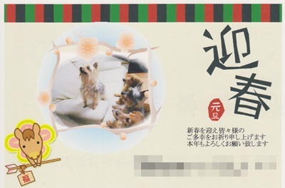 年賀状2 002