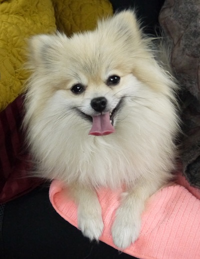 140202 (7)