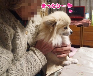 140207 (5)