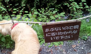 進入禁止!
