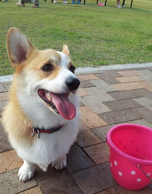 この目!