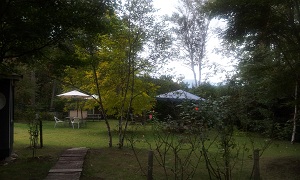 garden