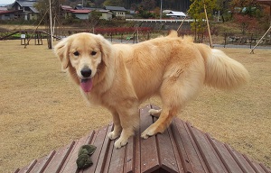 勢いあまって・・・その3