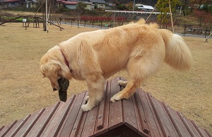 勢いあまって・・・その2
