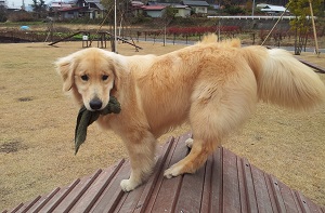 勢いあまって・・・その1