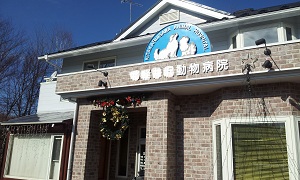 いつもの病院11/24