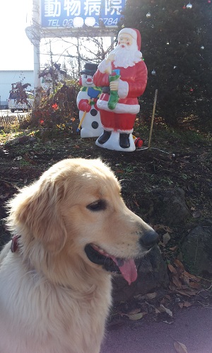 病院クリスマスバージョン