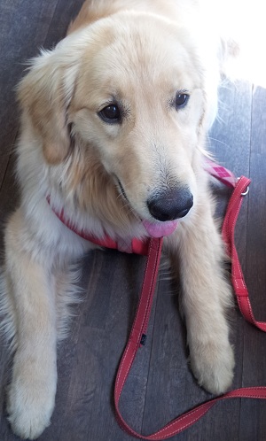いい子だった?