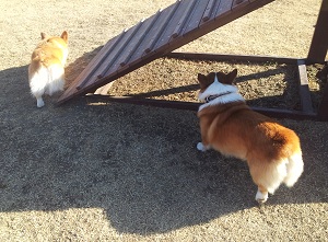 ブラザーの背中
