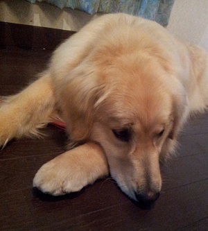 まだかな