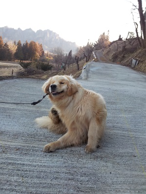 散歩道